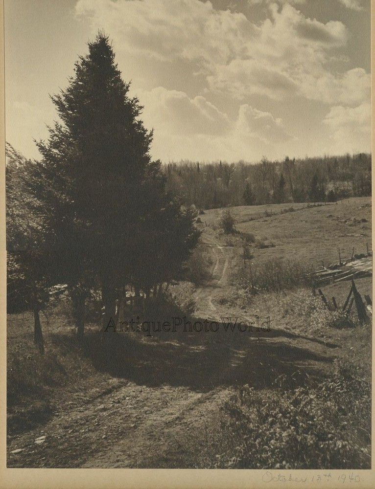 Country road landscape antique art photo