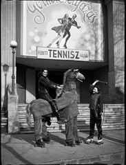 „Crazy Horse” on roller skates, world-famous circus production István ELEK and