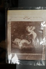 Photo Album Italy Pompeii Erote Chariot Race with Dolphins Painting Angel Figurine