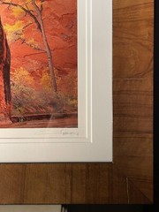 Michael Fatali authentic Cibachrome Print “Canyon Voices”