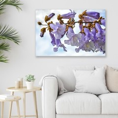 Royal Empress Tree, Abstract Floral, Nature Fine Art Photo, Metal, Canvas, Paper