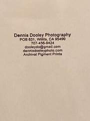 Mahatma Gandhi Walking Towards Bridge – San Francisco, Dennis Dooley Photography