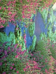 Art Wolfe Signed Photograph – Alpine Stream, Moss & Wildflowers –Framed Fine Art