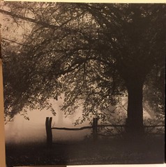 Set of 3: Black and White Landscape Framed Photo Prints on Canvas. 12″ x 12″