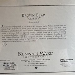 Kennan Ward Photography Signed Brown Bear “Grizzly” 1997
