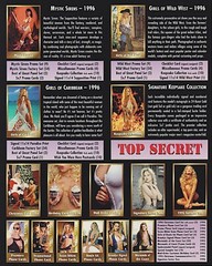 VINTAGE~IMAGE 2000~CHECKLIST of their CARD SETS~8X10 CARD STOCK~1996~XLNT