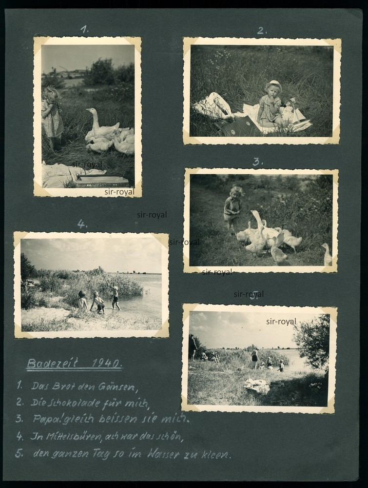 Bremen Mittelsbüren 1940 – Bathing Fun Children Geese 1940s – Photo Album Page 21x28cm
