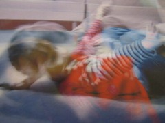 2008 Mark Panza Photo, «child tumbling on floor»; 13″ X 19″, over-exposed
