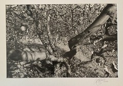 Kent Bowser (American B. 1949) Untitled II 1984 Gelatin Silver Print, Cleveland