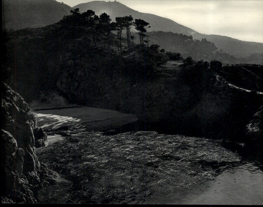 1941 1968 Original Edward Weston China Cove California Lobos Art Photo Gravure