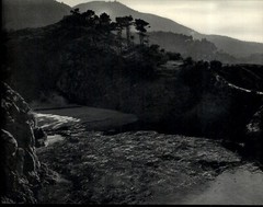 1941 1968 Original Edward Weston China Cove California Lobos Art Photo Gravure