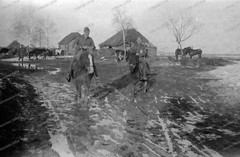 Negative-Tarutino-Kaluga-Russia-Inf.-Reg.253-Quartier-Wehrmacht-Horse-WW2-372