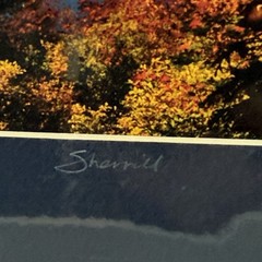 Sherrill SIGNED Matted Photo 8×10 Mt Hood Lost Lake Autumn Reflection Vertical