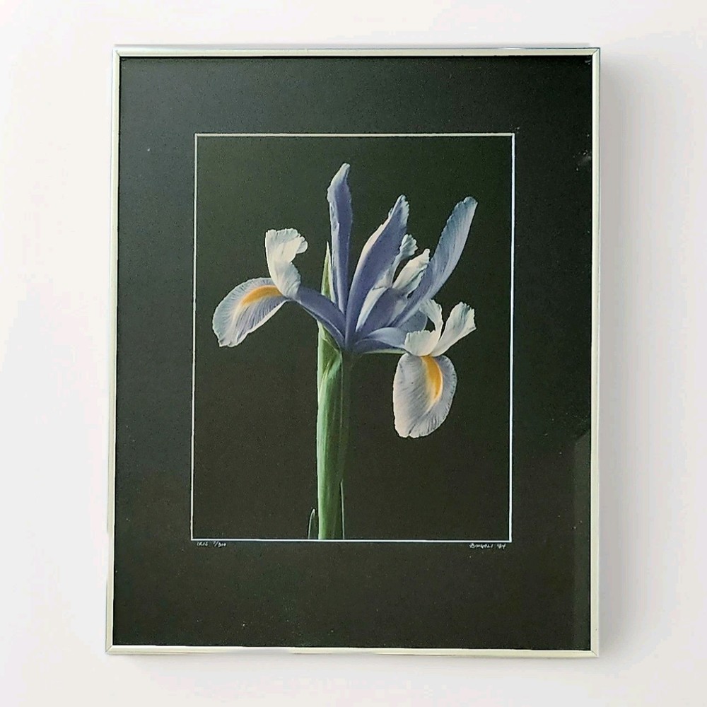Nick Zungoli Iris 1984 Signed Ltd Ed Photo Print 7/300 Framed Fine Art 16×20