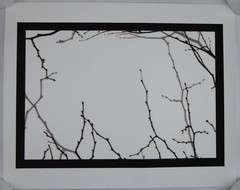 Mike Starn / Structure of Thought 30 16 x 20 LIMITED EDITION ARCHIVAL Signed 1st
