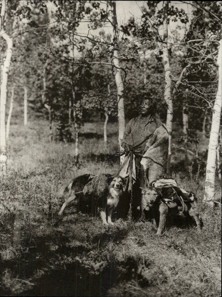 1972 Original Edward Curtis Assiniboin Indian Hunter & Dogs Art Photo Gravure
