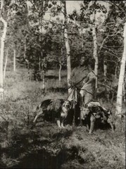 1972 Original Edward Curtis Assiniboin Indian Hunter & Dogs Art Photo Gravure
