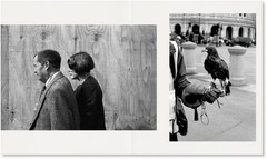 Ed Templeton City Confessions #2 London 1st Ed Photo Book New Rare