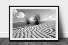 White Sands Photography Print: New Mexico Black & White Yucca Plant Desert Photo