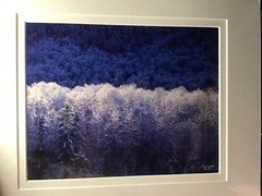 Mantle of White Ron Mellott matted photography Hoar Frost Nooksack River, Wa