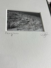 3 Black & White Minimal Modern Framed Photo Art Nature Titled Artist Signed