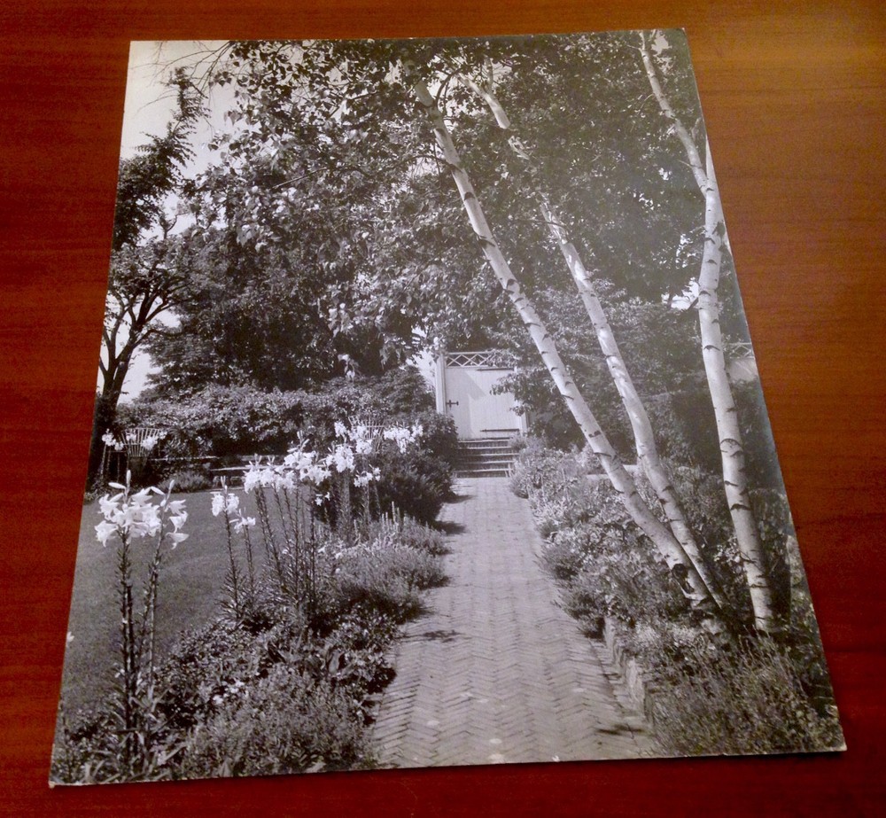 SAMUEL H. GOTTSCHO Vintage 1940 Landscape Gelatin Silver Photo on Board 19 x 16