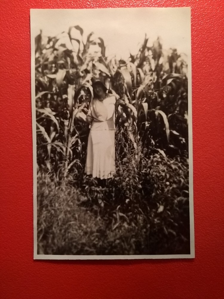 Old Photo Antique Woman Hiding in Corn Field Woman Corn Field Fashion Old Photo