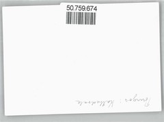 50759674 – Seville Photo 8.5×13 cm, Cathedral