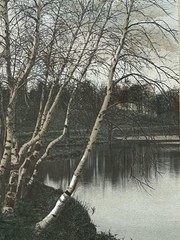 Charles Sawyer «Ladies Of The Lake» Hand Colored Photo Nutting Peer
