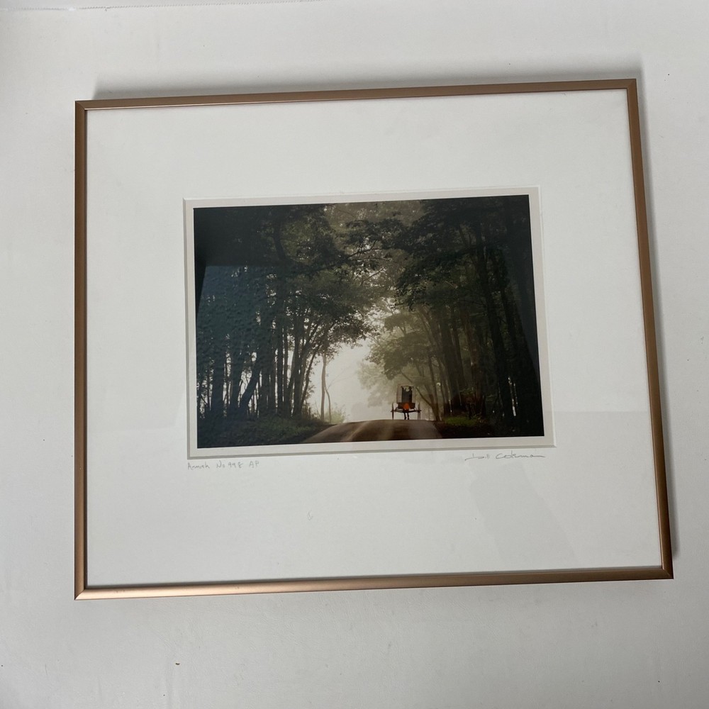 Bill Coleman Amish No 998 • Signed Artist Proof Framed Color Photograph • Buggy