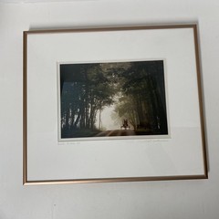 Bill Coleman Amish No 998 • Signed Artist Proof Framed Color Photograph • Buggy