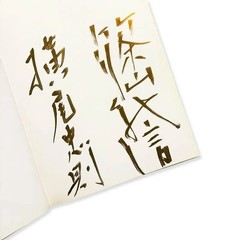 Tadanori Yokoo Perspective of Memory 1992 Signed Art Photo Book Shinoyama Used
