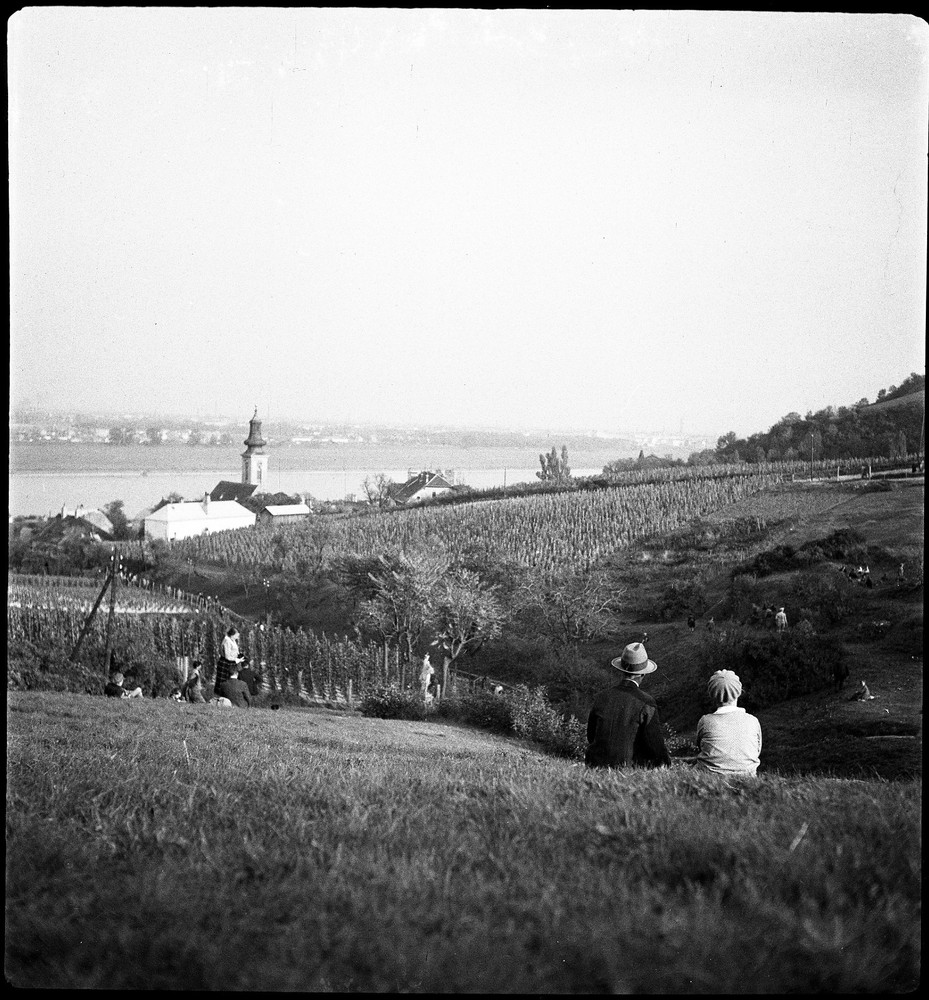 view at Kahlenbergerdorf (Vienna, Donau) by Eduard PEZDIKA, vintage fine art ne