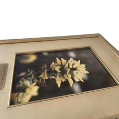 Floral Photograph Wall Art Framed Original Signed Engraved Plaque