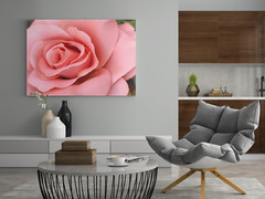 PINK ROSE, 4×6 » MATTED AND FRAMED PRINT, READY TO HANG, GREAT FOR GIFTGIVING