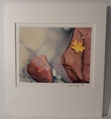 Vintage 1996 Steve Solinsky Nature Art Photo Smokey Water
