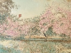 Antique Wallace Nutting Signed Hand Colored Photo Honeymoon Cottage Framed Art