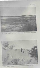 1898 Cape Cod Photograph Antique Print Set Of 2, 5.5” X 9” Each