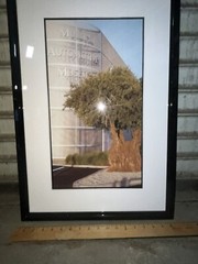 Mullins Automotive Museum Framed Picture