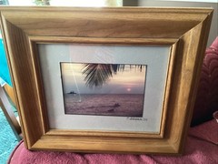 Signed C. Schramm 2004 Tropical Sunset Dolphin Photograph Framed Coastal