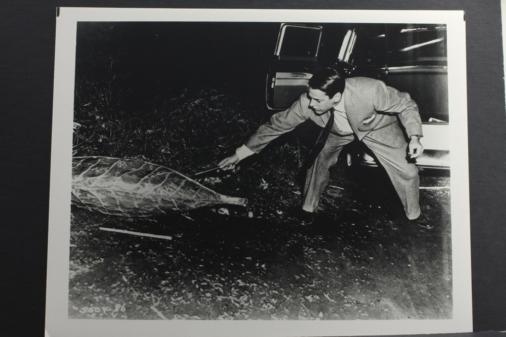 Kevin McCarthy Invasion of the Body Snatchers -8×10″ Photo Print -Vintage L1307F