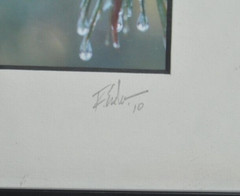 Icy Pines 1 of 50 Framed and Matted Under Glass Signed Photograph