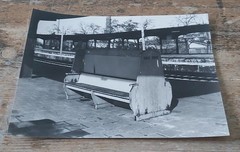 Large B/W Photo Cologne Lime Railway Station Photo No. 18