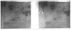 Park, Relaxation, Stereo Glass Photo Plate, Black & White Negative 4.5X10.7 Cm