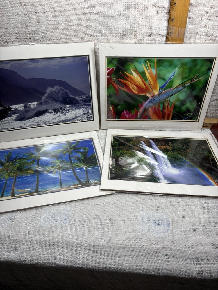 Set Of Four Hawaiian Landmark Images By Vincent K. Tylor