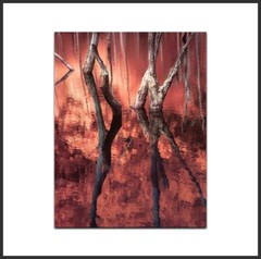 the flooded forest
