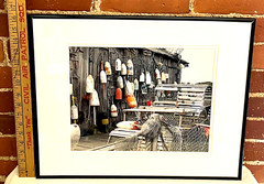 Nautical Maritime Hanging Lobster Trap Buoys Colorful Seascape Photograph 16X20