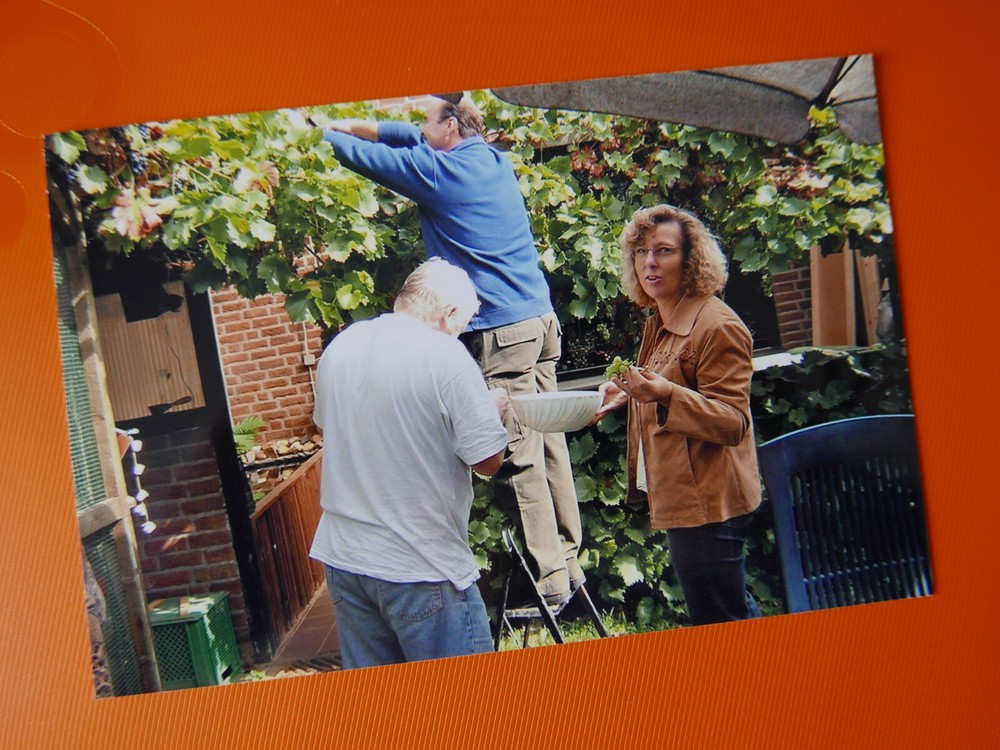 «VINTAGE»: PHOTOGRAPH, PHOTO, HOUSE, GARDEN, GRAPES, HARVEST, HOBBY, PEOPLE!
