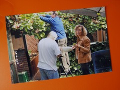 «VINTAGE»: PHOTOGRAPH, PHOTO, HOUSE, GARDEN, GRAPES, HARVEST, HOBBY, PEOPLE!