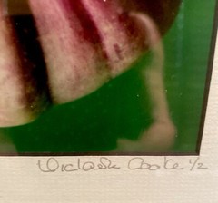 Set of 4 Original Photographs FOR KITCHEN signed and matted Eggplant Radish etc